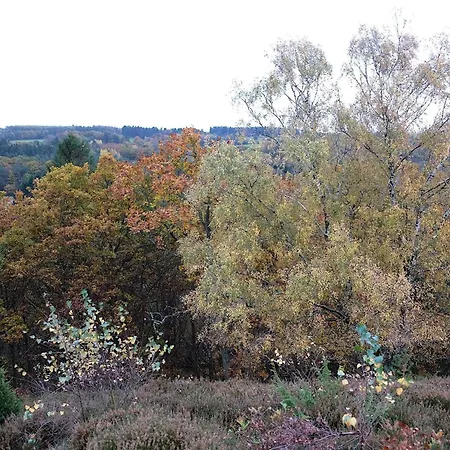 Vakantiehuis 8 Person In Gjern-by Traum