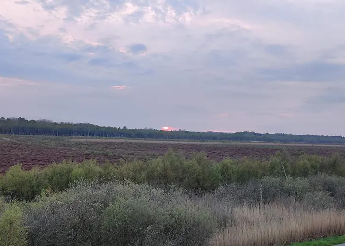 8 Person In Gjern-by Traum Дом отдыха Gjern